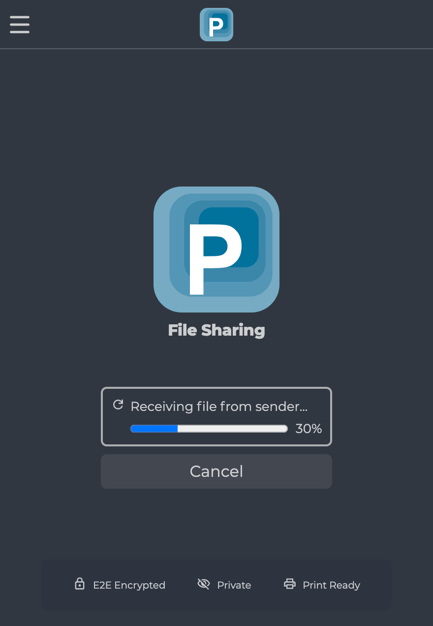 File Sharing Receiving File Screenshot